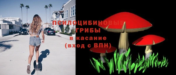 СК Абдулино