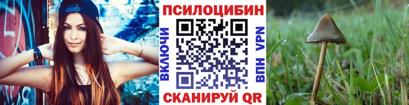 хочу   Уварово  гидра вход  Галлюциногенные грибы Psilocybe 